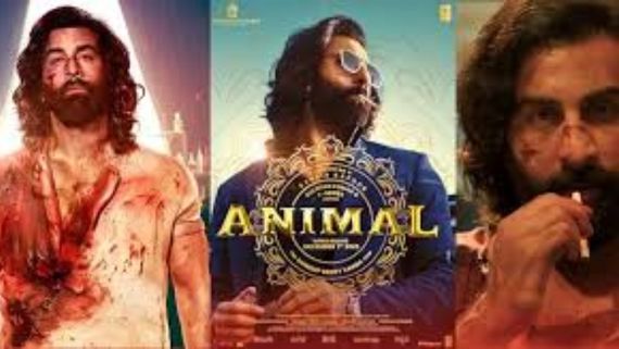  Animal 23 Days Collections: RRR రికార్డు బద్దలు కొట్టిన యానిమల్.. ఏకంగా అన్ని కోట్లతో పెను సంచలనం