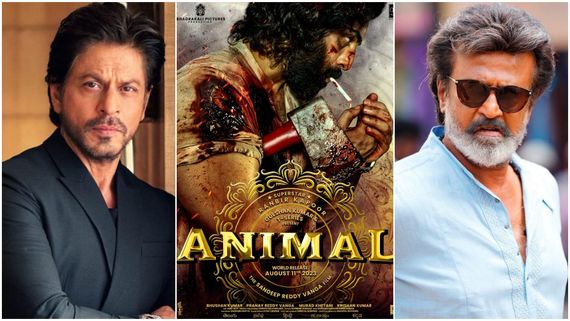 Animal 8 Days Collections 600 కోట్లతో యానిమల్ సంచలనం.. షారుక్, రజనీ రికార్డులపై కన్నేసిన రణ్‌బీర్