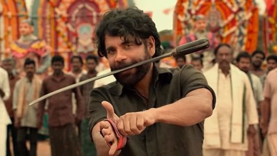 Naa Saami Ranga Day 2 Collections: నా సామిరంగ మైండ్ బ్లోయింగ్ కలెక్షన్స్... 2వ రోజు ఎన్ని కోట్లు వచ్చాయంటే? 