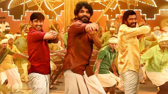 Naa Saami Ranga 13 Days Collections: జాక్‌పాట్ కొట్టిన నాగ్.. అన్ని కోట్ల లాభాలు.. 10 లక్షలు వస్తే!