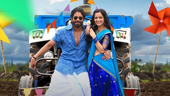 Naa Saami Ranga 5 Days Collections: నా సామిరంగ ఇవేం కలెక్షన్లు.. అన్ని కోట్లు వస్తే నాగార్జునకు హిట్