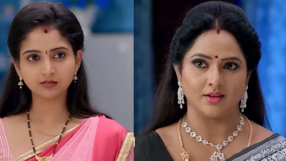 Brahmamudi: కావ్య ముందే ప్రేమగా శ్వేతతో రాజ్... రుద్రాణి కంటే అరాచకంగా అనామిక ప్లాన్స్!