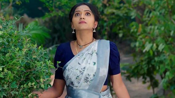 Naga Panchami 20th February: తోడేళ్ల దాడి నుంచి పంచమి సేఫ్.. సుబ్రహ్మణ్య స్వామి శక్తి అదుర్స్!