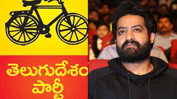 జూనియర్ ఎన్టీఆర్‌పై టీడీపీ నేత సంచలన వ్యాఖ్యలు: అసలు సంబంధమే లేదు.. పార్టీ కోసం ప్రచారం అంటూ!