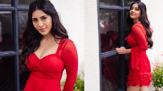 Nabha Natesh : చెర్రీ పండులా ఊరిస్తున్న ఇస్మార్ట్ పోరి .. వింటర్​‌లో హీట్​ పుట్టిస్తోన్న నభా నటేష్