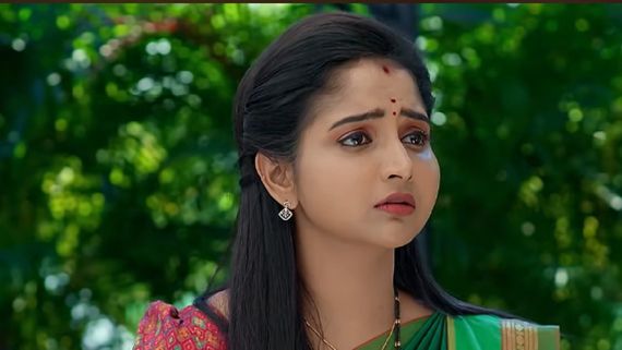 Brahmamudi January 20th Episode : కావ్యకి టెస్ట్ పెట్టిన ఇందిర ... కళ్యాణ్‌కి అప్పూ సర్‌ప్రైజ్