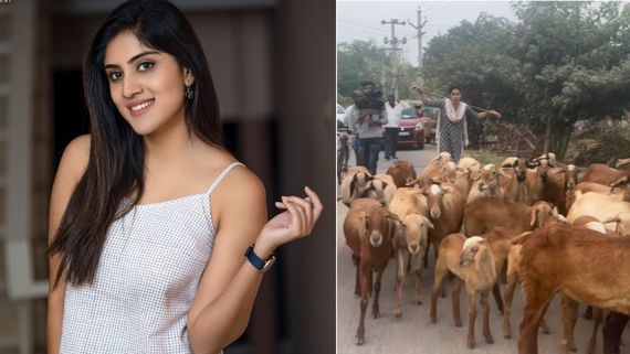 ఒకప్పుడు సూపర్‌స్టార్‌కే ప్రపోజ్ చేసి .. దారుణంగా హీరోయిన్ జీవితం,  గొర్రెలు మేపుకుంటూ