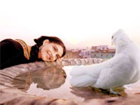 'दिल्‍ली 6' की मसक्‍कली मंहगी पड़ी!