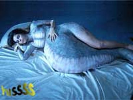 मैंने नहीं दिए न्यूड सीनः मल्लिका