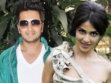 पर्दे पर एकबार फिर साथ दिखेगी रितेश और जेनेलिया की लव स्टोरी