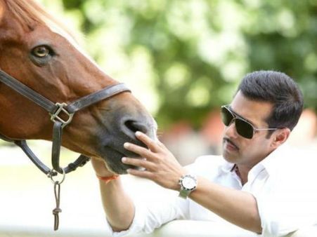 'दिया और बाती' में दिखेंगे चुलबुल पांडे