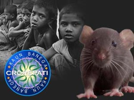 KBC Exclusive: एक ऐसा गांव जहां चूहा खाते हैं लोग