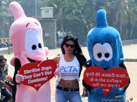 शर्लिन ने कहा कुत्तों की नसबंदी कराएं