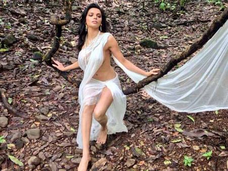 शर्लिन की पारदर्शी साड़ी ने लोगों को किया नाराज़, कामसूत्र में और क्या होगा!