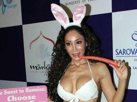 सोफिया की शिकायत से बिगबॉस की टीआरपी खतरे में!