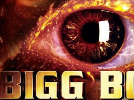 Surprise: बिग बॉस 8 में दिखेंगे गे-कपल