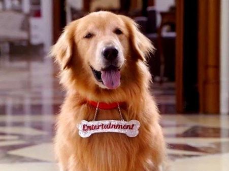 जैसे-तैसे 'एंटरटेनमेंट' ने वीकेंड में कमा ही लिए 35 करोड़