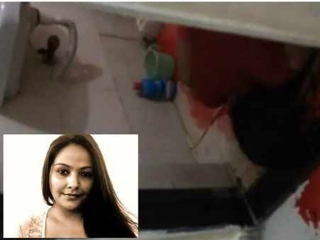 SHOCK: सुसाइड से पहले बना बीए पास एक्टर शिखा सिंह का वीडियो, ये थी बातचीत!