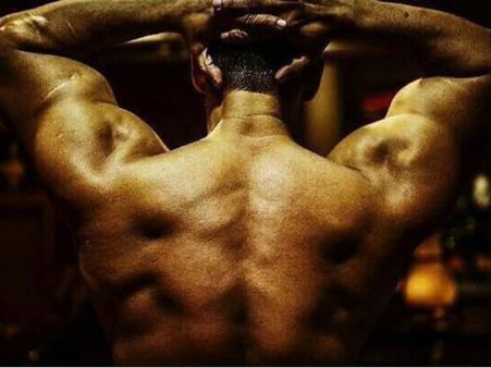 New PIC: 'सुल्तान' की यह तस्वीर ना ही देंखे तो अच्छा है.. खासकर सलमान फैंस!