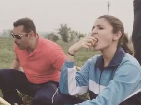 #ZordaarPics: सुलतान सलमान - आर्फा अनुष्का का गन्ने के खेत वाला रोमांस!