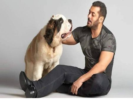 #CutePics- हर स्टार हैं इनके शौकीन..चाहे हो सलमान,अक्षय या अजय देवगन!