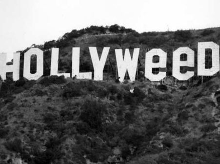 हॉलीवुड बना 'हॉलीवीड'..पढ़ें क्या है माजरा