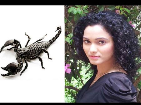 नागिन,डायन हुए पुराने नये साल में बिच्छू करेगा टीवी पर राज