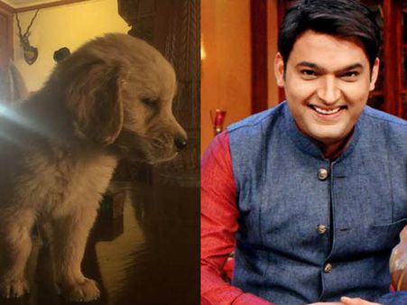 मिलिए कपिल के नए दोस्त 'फिरंगी' से..बेहद क्यूट