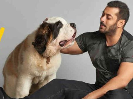 सलमान खान की स्मार्टनेस..कोई और सोच भी नहीं सकता.. इन्होंने कर दिखाया!