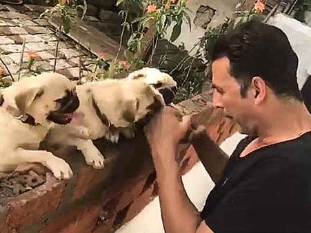 CUTE - अक्षय कुमार ने Pugs के साथ कुछ यूं किया वर्कआउट..