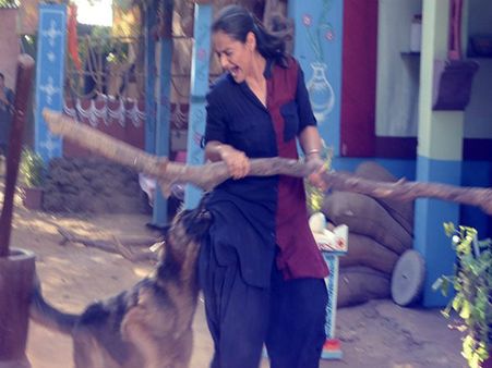 इस सुपरस्टार के साथ बड़ा हादसा,जर्मन शेफर्ड कुत्तों ने किया हमला SHOCK