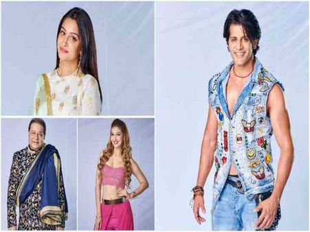 BIGG BOSS 12 : इन 7 कंटेस्टेंट को मिल रही है करोड़ों की फीस,नाम जानकर चौंक जायेंगे !