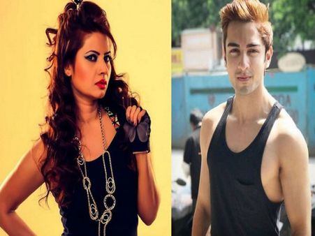 Bigg Boss 12 में मचा हड़कंप, 2 वाइल्ड कार्ड एंट्री, श्रीसंत पर बड़ा खतरा Video