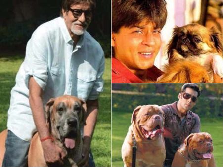इस मामले में सलमान खान ने सबसे पछाड़ा, लाइन में अजय देवगन के साथ 10 सुपरस्टार