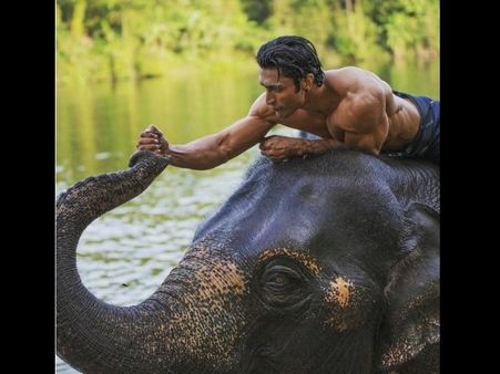 जंगली REVIEW: विद्युत जामवाल का शानदार एक्शन, लेकिन उबाऊ कहानी निराश करती है