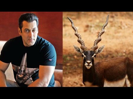 काला हिरण मामला- सलमान खान की सजा खारिज करने की याचिका पर आज होगी सुनवाई