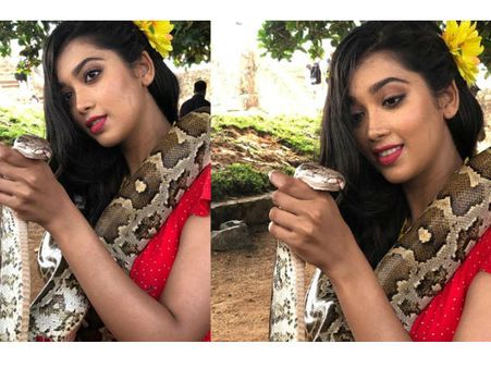 अजगर को गले में डालना बिग बॅास की इस स्टार को पड़ा महंगा, शूटिंग के दौरान बड़ा हादसा !