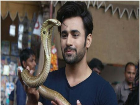 Naagin 4 में खुलेगा सबसे बड़ा राज, नागराज को देख फैंस को लगेगा झटका, कहानी Leak