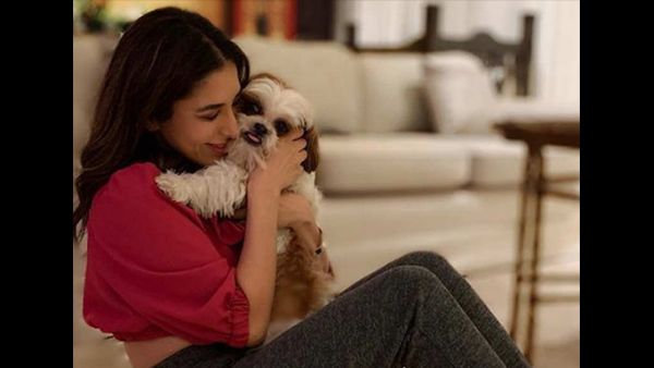 Exclusive Interview: आयुष्मान खुराना सब कर रहे हैं और मुझसे पूछा जाता था क्यों -सोफी चौधरी