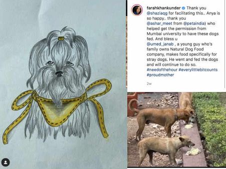 फराह खान की बेटी अन्या ने लॉकडाउन में कमाए 70 हज़ार और कर दिया दान, स्टार्स ने की जमकर तारीफ