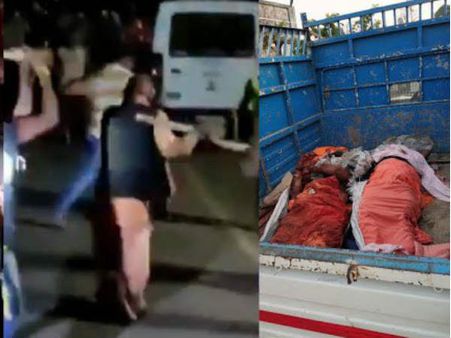 पालघर मॉब लिंचिंग घटना में भाजपा पर आरोप- बॉलीवुड एक्ट्रेस ने कहा, 