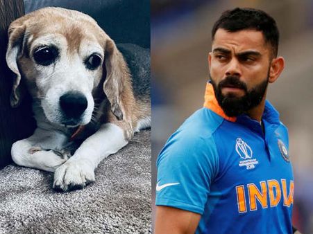 विराट कोहली के डॉगी ब्रूनो की मौत- 11 साल बाद छूटा साथ- कैप्टन ने लिखा इमोशनल पोस्ट