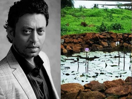 इरफान खान को याद कर फिर भावुक हुईं पत्नी सुतापा- कमल का फूल साझा कर पूछा ये सवाल