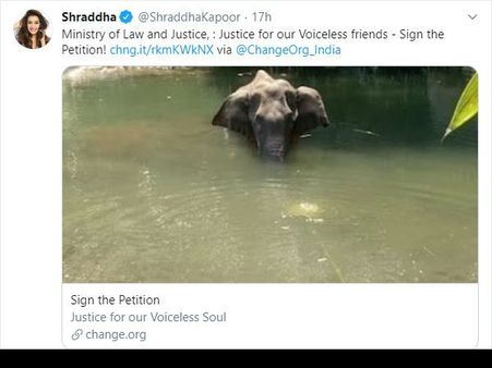 'गर्भवती हथिनी की हत्या' पर कड़ा कदम, बॉलीवुड की बड़ी मुहिम, साथ आए लाखों लोग, मिलेगा इंसाफ !