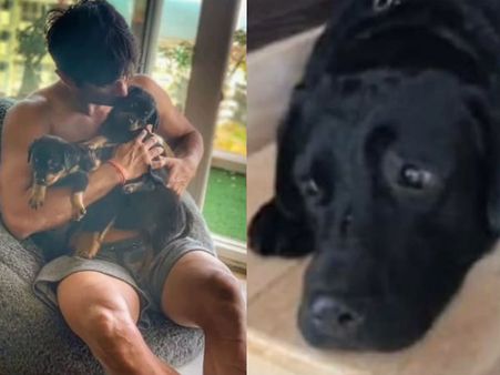 सुशांत सर के गले पर निशान है, उन्हें डॉग फज के बेल्ट से मारा गया है, ये मामला CBI के पास है