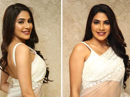 Bigg Boss 14: निक्की तंबोली बन गईं सुपरहिट, फैंस के बीच तस्वीरों से बढ़ा दी गर्मी, वायरल