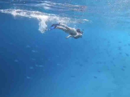 दिशा पटानी ने शेयर किया अपना वीडियो, जलपरी बनकर उड़ा रही हैं होश