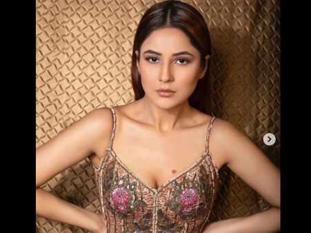 गोवा के बीच पर दौड़ती हुई बेहद HOt शहनाज गिल, वीडियो और तस्वीरें देख फैंस फिदा