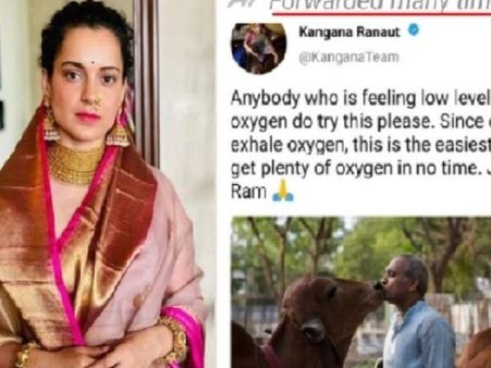 'ऑक्सीजन की कमी हो तो गाय के मुंह से मुंह लगाकर सांस लें?' फेक ट्वीट पर कंगना रनौत भड़की!