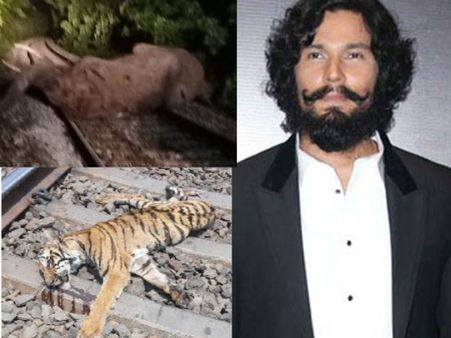 ट्रेन की टक्कर से दो बाघ और एक हाथी की मौत, दुखी रणदीप हुड्डा ने कर डाला ये पोस्ट!